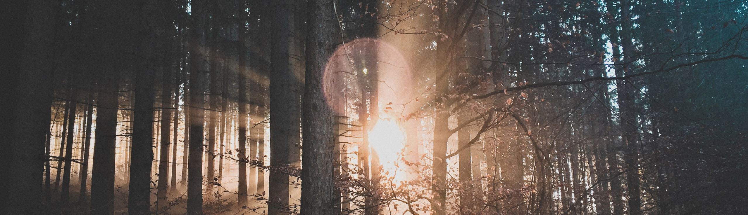 Grabsteine bestellen